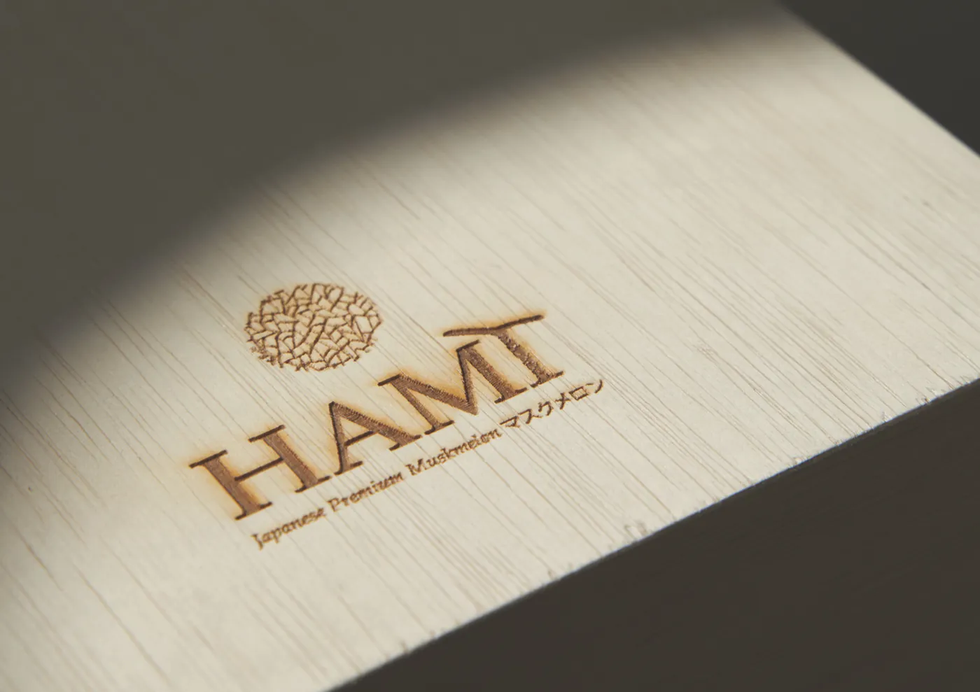 HAMI embossed logo branding
